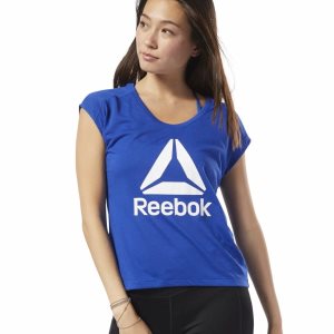 Koszulki Damskie Reebok Workout Ready Supremium 2.0 Niebieskie PL 97OVETS